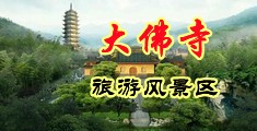 女生被x网站在线中国浙江-新昌大佛寺旅游风景区